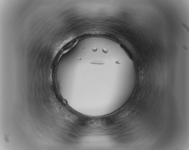 X0000099960727200806131509