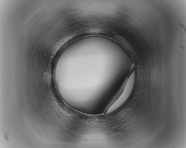 X0000099960728200806131509