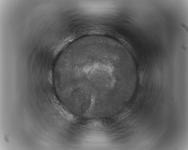 X0000099960729200806131509