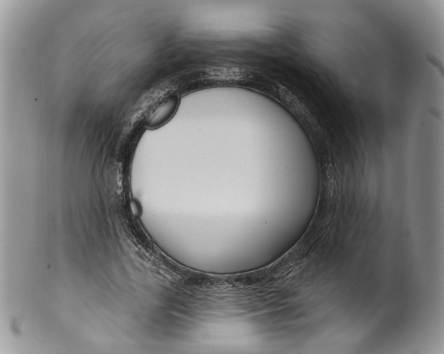 X0000099960731200806131509