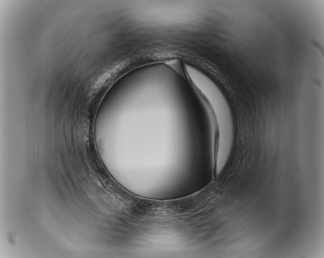 X0000099960732200806131509