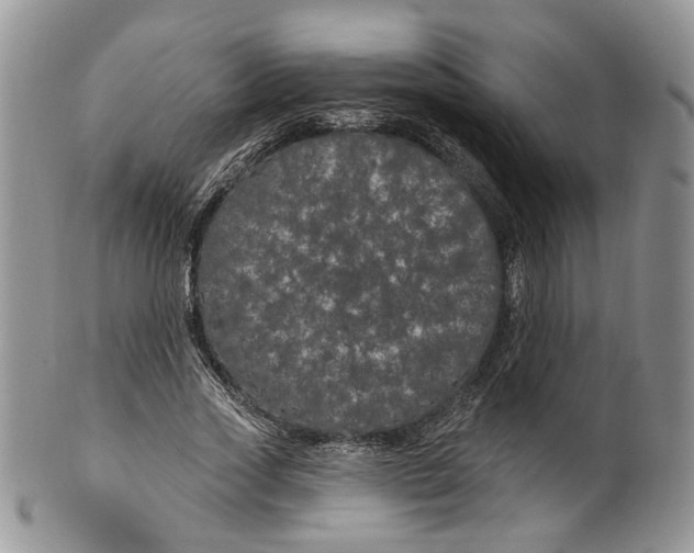 X0000099960733200806131509