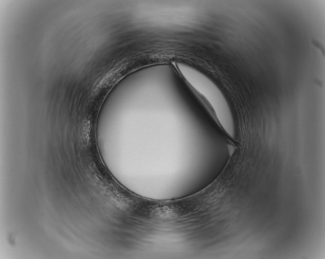 X0000099960735200806131509