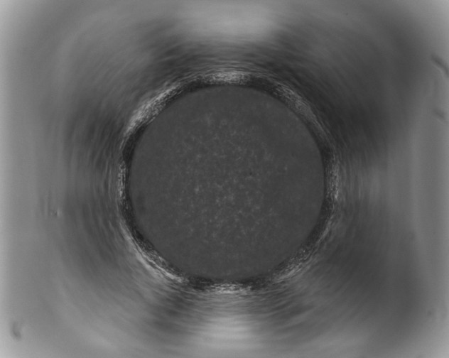 X0000099960736200806131509