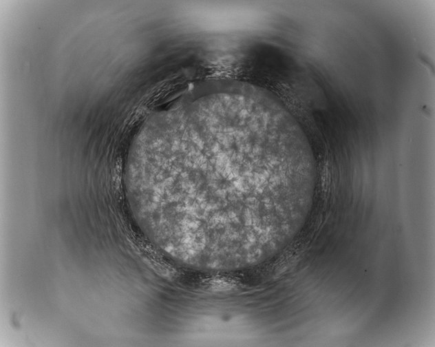 X0000099960737200806131509