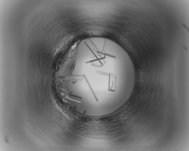 X0000099960738200806131509