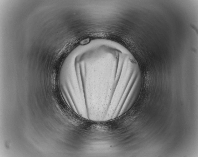 X0000099960739200806131509