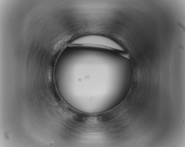 X0000099960740200806131509