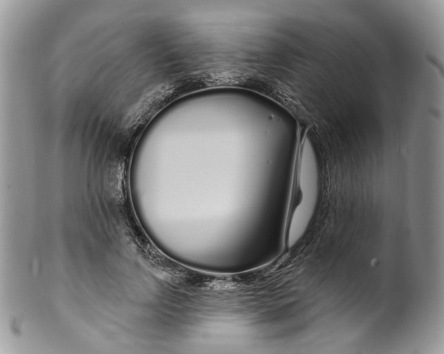 X0000099960742200806131509