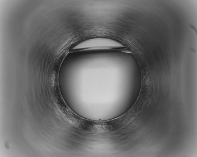 X0000099960744200806131509