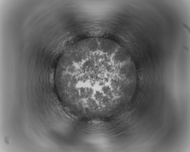 X0000099960745200806131509