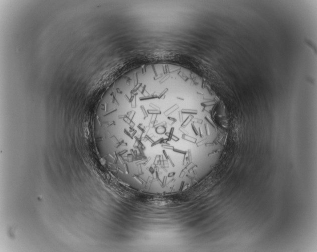 X0000099960746200806131509