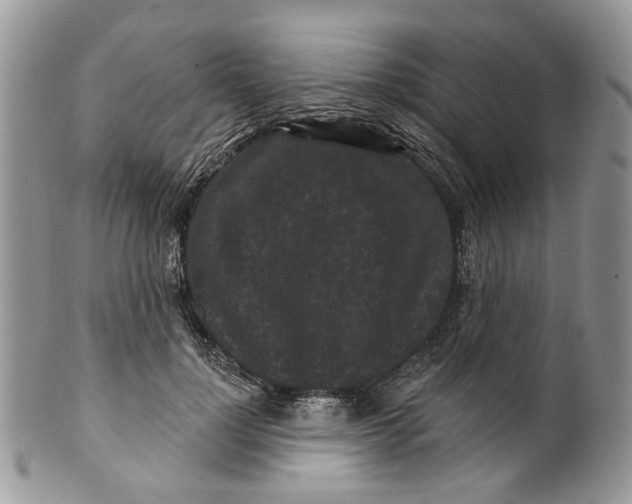 X0000099960748200806131509