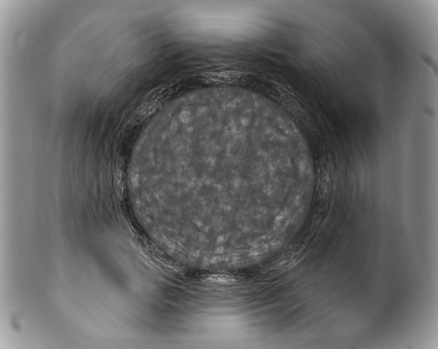 X0000099960749200806131509