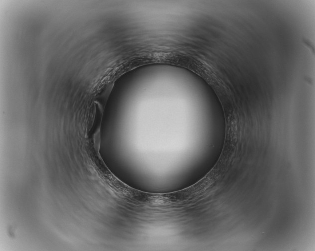 X0000099960750200806131509