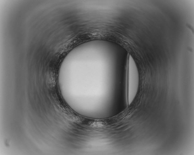 X0000099960751200806131509