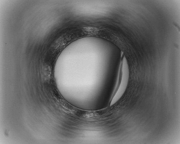 X0000099960752200806131510