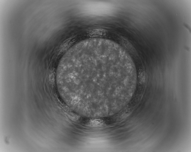 X0000099960753200806131510