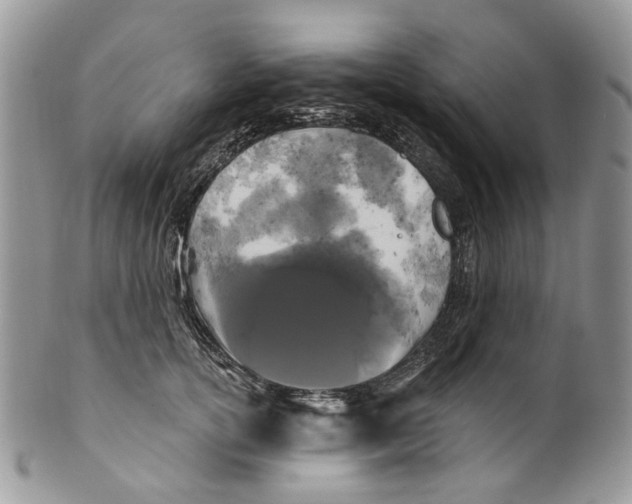 X0000099960754200806131510