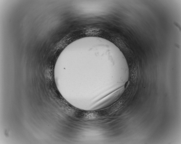 X0000099960755200806131510