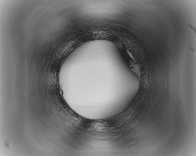 X0000099960756200806131510