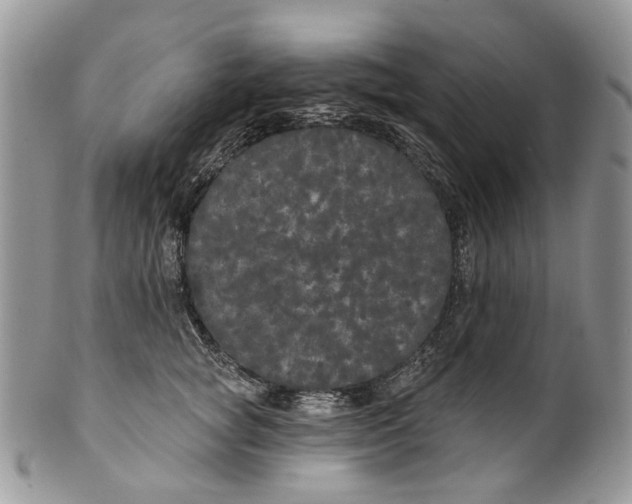 X0000099960757200806131510