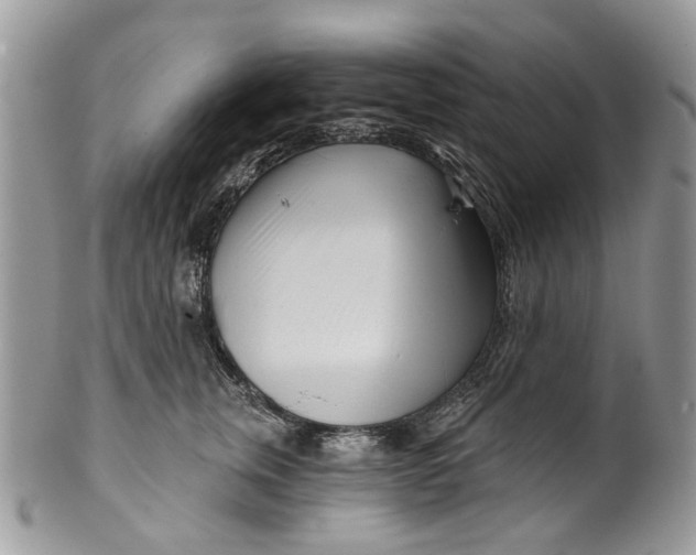 X0000099960759200806131510