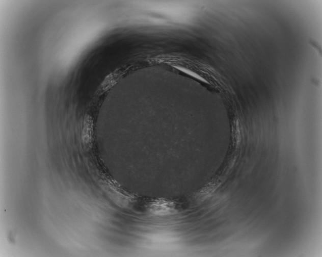 X0000099960760200806131510