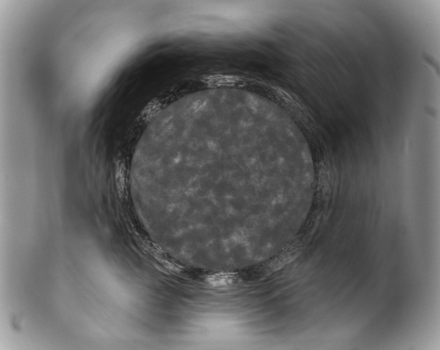 X0000099960761200806131510