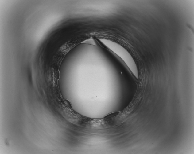 X0000099960762200806131510