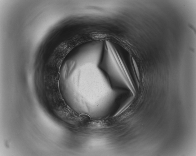 X0000099960763200806131510