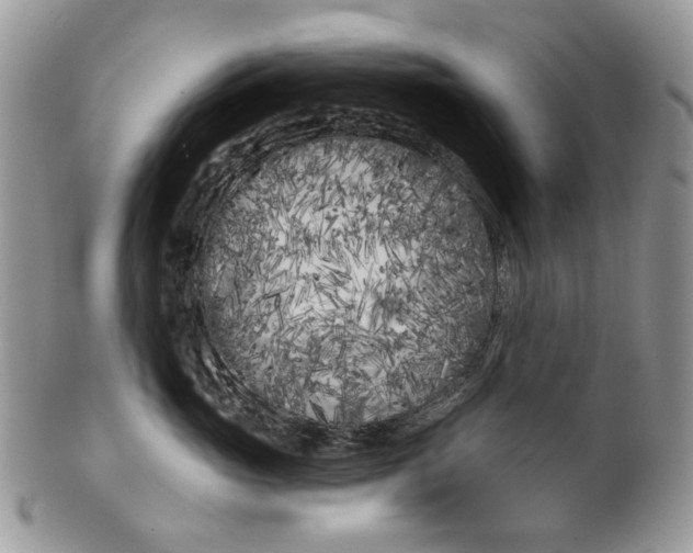 X0000099960765200806131510