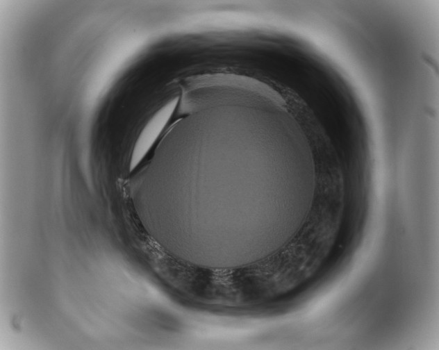 X0000099960766200806131510