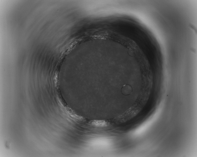 X0000099960767200806131510