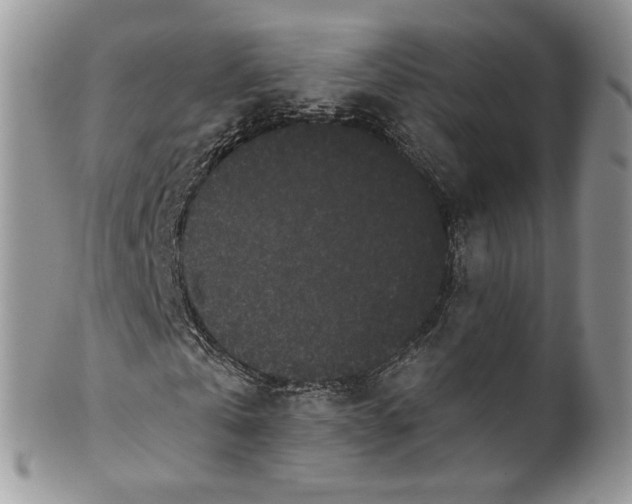 X0000099960769200806131509