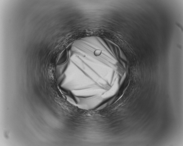 X0000099960770200806131509