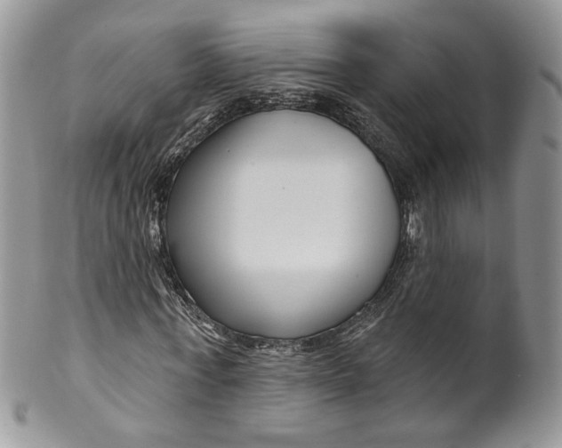 X0000099960771200806131509