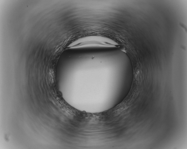 X0000099960772200806131509