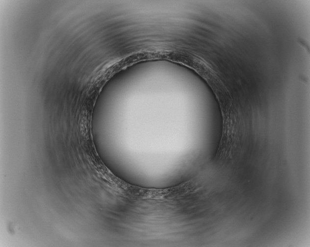 X0000099960773200806131509