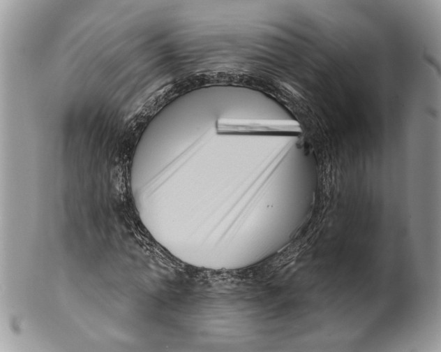 X0000099960774200806131509