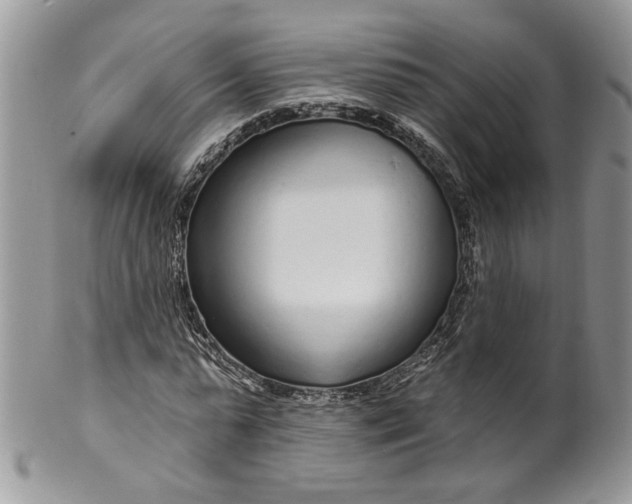 X0000099960775200806131509