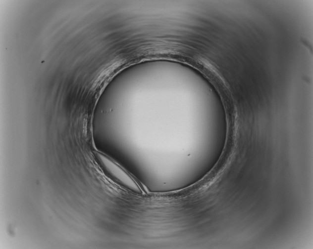 X0000099960777200806131509