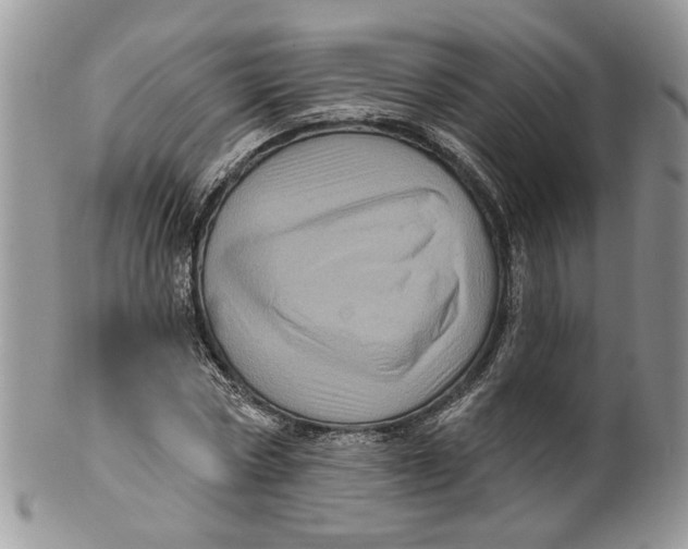 X0000099960778200806131509