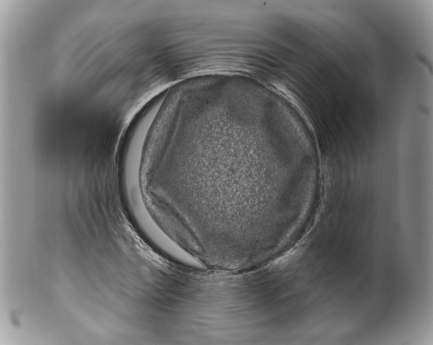 X0000099960779200806131509