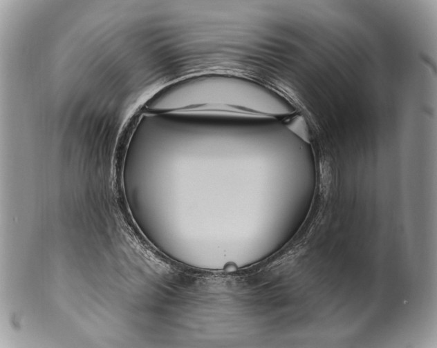 X0000099960780200806131509