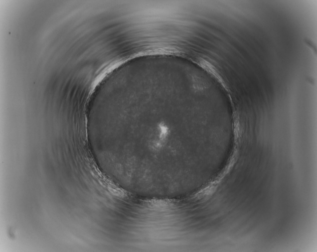 X0000099960781200806131509