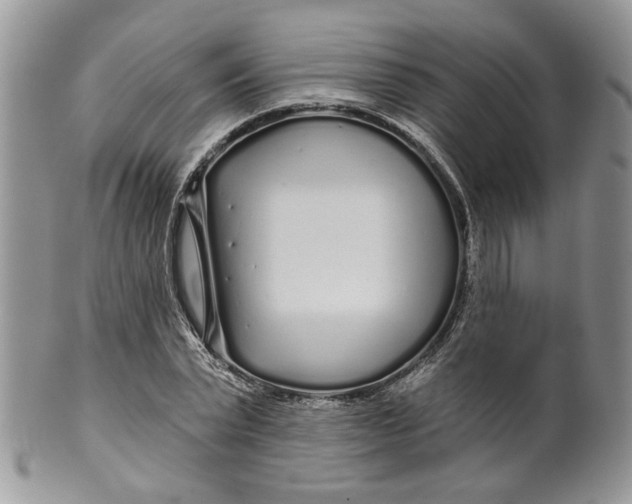 X0000099960783200806131509