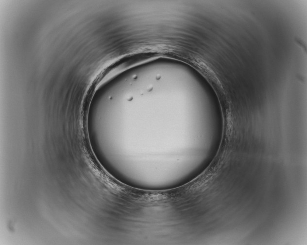 X0000099960784200806131509