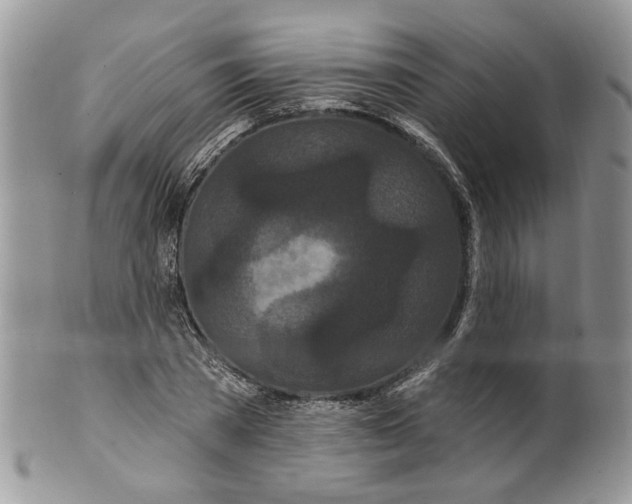 X0000099960785200806131509