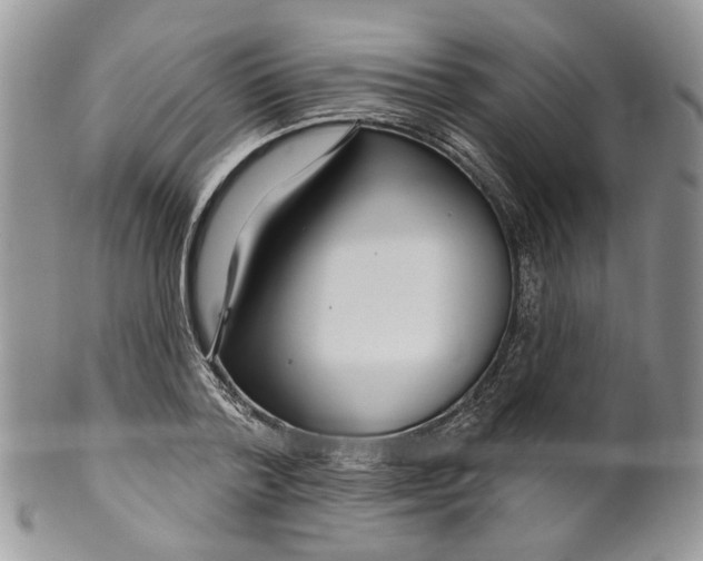 X0000099960788200806131509